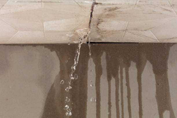 Professional Commercial Water Damage Restoration technician working in Hospers, IA
